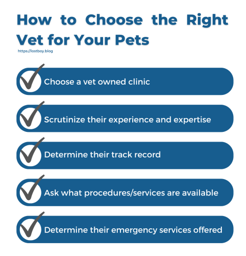 How to Choose the Right Vet for Your Pet